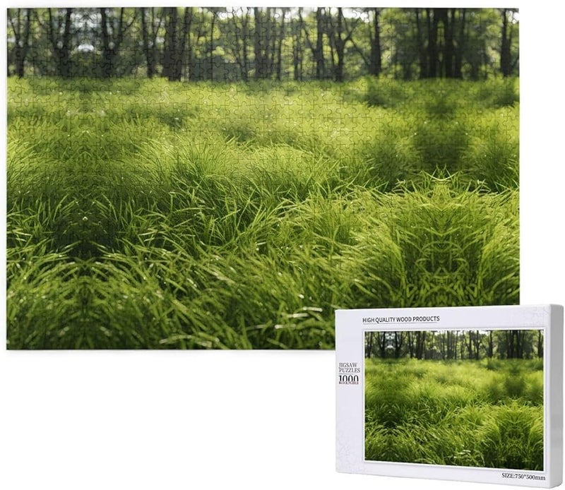 لغز فايا بيلو 1000 قطعة للكبار هدية ديكور منزلي 29.5 × 19.7 بوصة - Image 1